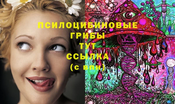 каннабис Алексеевка